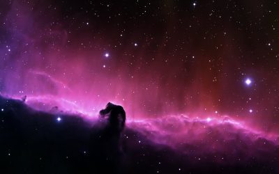 Curva del cambio: impulsa la transformación digital